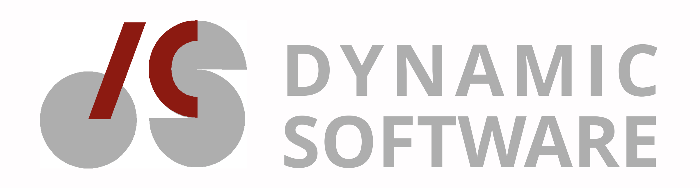 Dynamic Software N.V. 